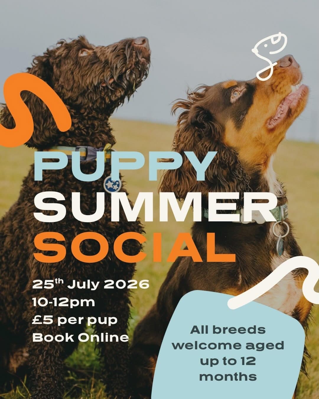 Puppy Summer Social at Seek Dog Park πΆβοΈ