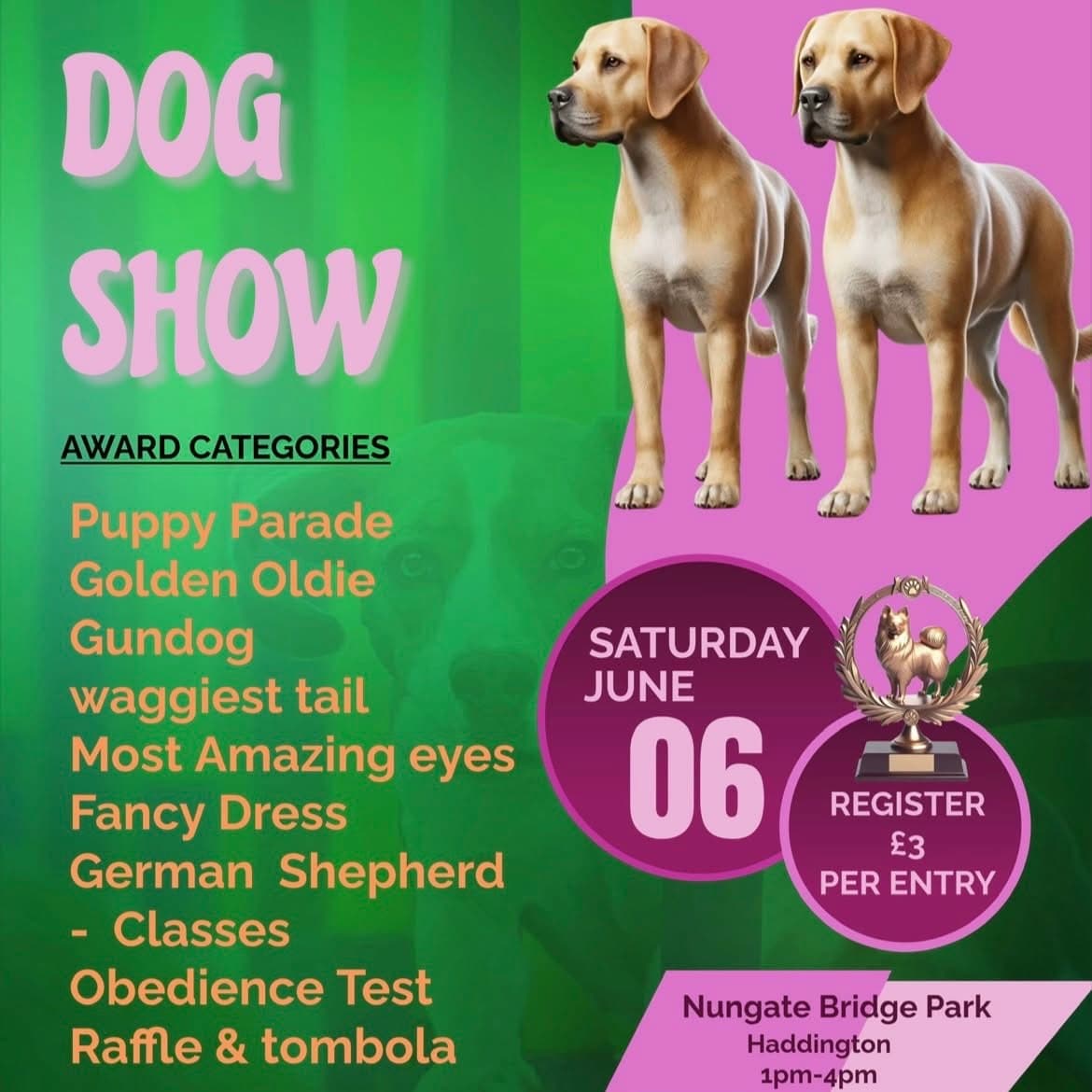 Fun Dog Show - Nungate š¶